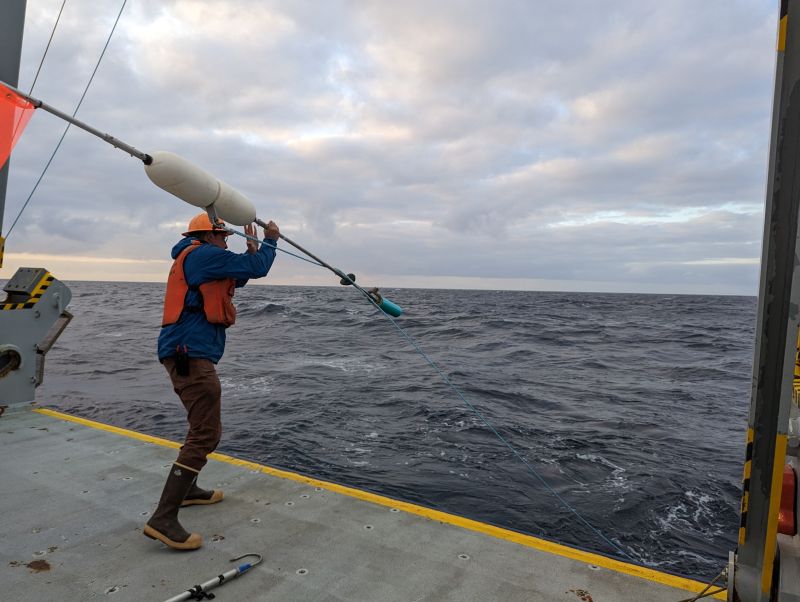 What tiny marine organisms eat can affect how the deep ocean stores